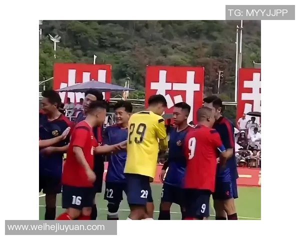 谭咏麟足球明星队的表现与影响力分析及球迷反馈探讨