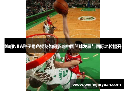 姚明NBA种子角色揭秘如何影响中国篮球发展与国际地位提升